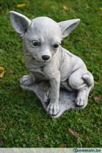 Chihuahua en pierre patinée, Jardin & Terrasse, Statues de jardin, Enlèvement ou Envoi, Neuf, Pierre, Animal