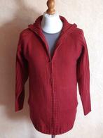 Ensemble gilet tee-shirt -NEUF- T : 42/44, Blanche Porte, Maat 42/44 (L), Ophalen of Verzenden, Zo goed als nieuw