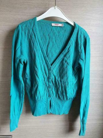 groene cardigan Fragile maat XS, Enlèvement ou Envoi, Pull ou Veste, Comme neuf, Vert