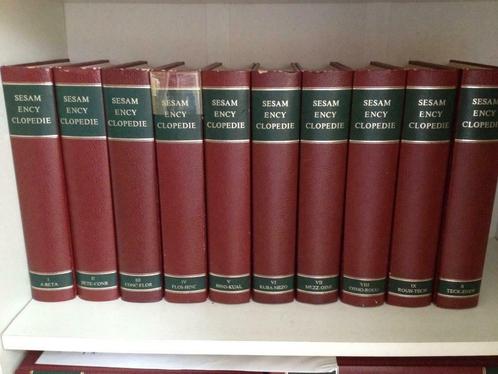 Sesam encyclopedie 10 delig A - Z te koop, niet los, Boeken, Encyclopedieën, Gelezen, Complete serie, Algemeen, Ophalen of Verzenden