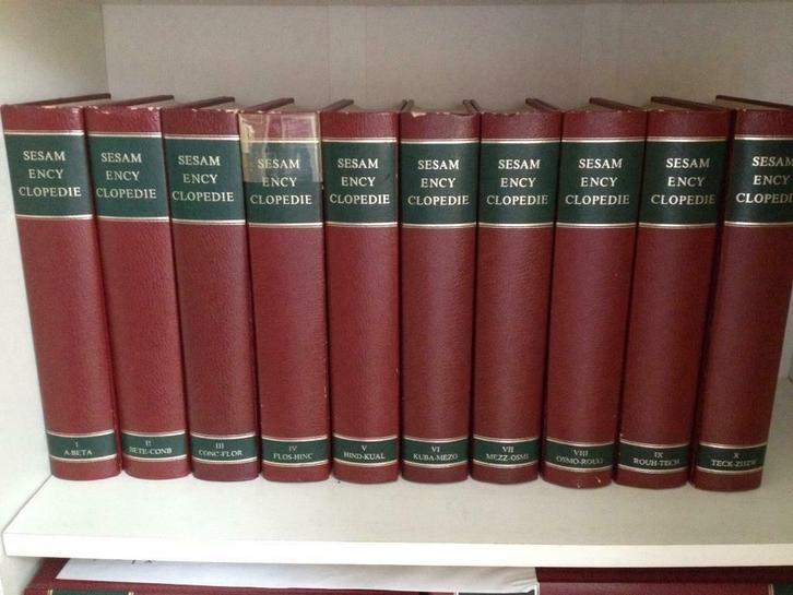 Sesam encyclopedie 10 delig A - Z te koop, niet los, Boeken, Encyclopedieën, Gelezen, Complete serie, Algemeen, Ophalen of Verzenden