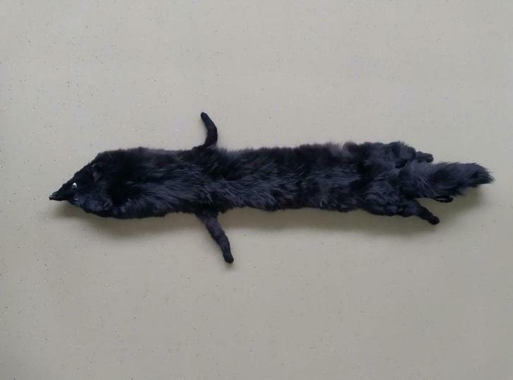 Foulard/étole/col vison noir vintage - Fourrures de Luxe, Vêtements | Femmes, Bonnets, Écharpes & Gants, Comme neuf, Écharpe, Enlèvement ou Envoi