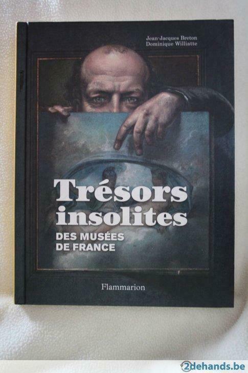 Trésors insolite Jean - Jacques Breton, Dominique Williatte, Livres, Art & Culture | Arts plastiques, Utilisé, Enlèvement ou Envoi