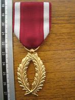Médaille Belgique Palme d'or de la couronne, Collections, Autres, Envoi, Ruban, Médaille ou Ailes
