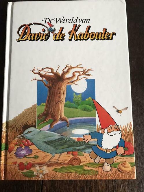 naakt Overdreven Ouderling ② De wereld van David de Kabouter — Kinderboeken | Jeugd | onder 10 jaar —  2dehands