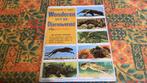 Wonderen uit de dierenwereld (z7), Ophalen of Verzenden, Gelezen, Plaatjesalbum