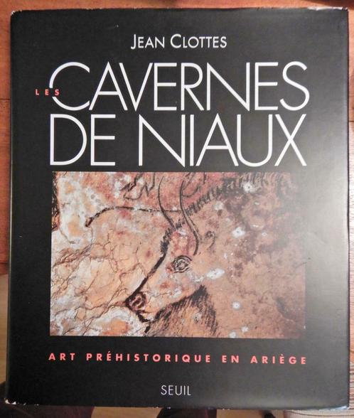 Boek Cavernes de Niaux Jean Clottes 1995 Editions du Seuil, Boeken, Hobby en Vrije tijd, Gelezen, Tekenen en Schilderen