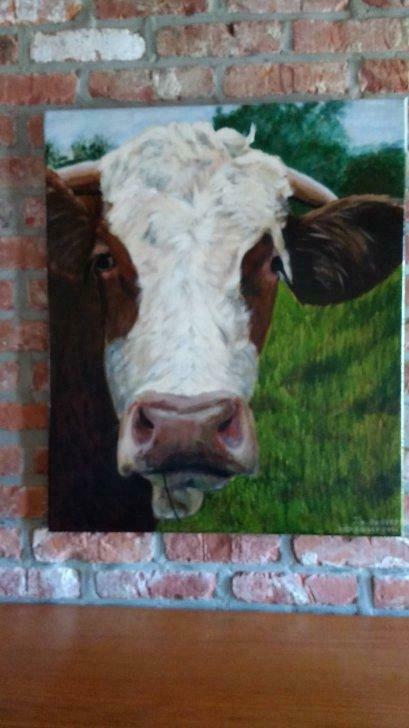 Rode blaarkop, Antiek en Kunst, Kunst | Schilderijen | Modern