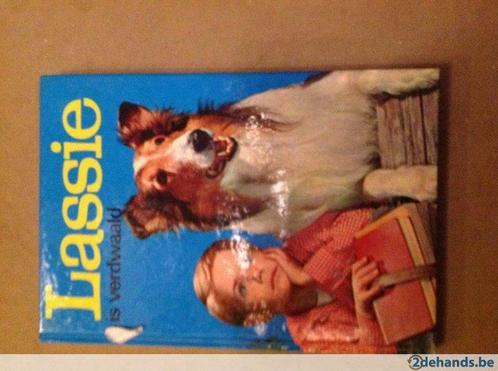 Lassie is verdwaald, Livres, Livres pour enfants | Jeunesse | Moins de 10 ans, Utilisé, Enlèvement ou Envoi
