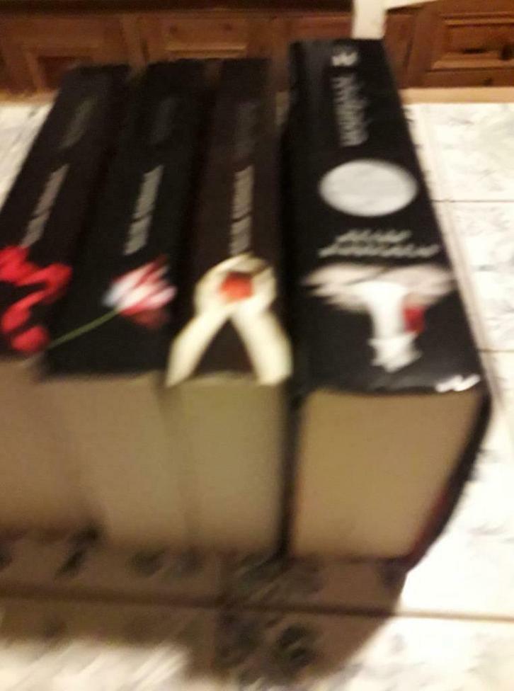 Romans STEPHENIE MEYER  (4), Boeken, Romans, Gelezen, Ophalen of Verzenden