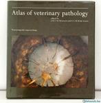Atlas of veterinary pathology (Mouwen en de Groot), Boeken, Studieboeken en Cursussen, Gelezen, Ophalen of Verzenden, Van In