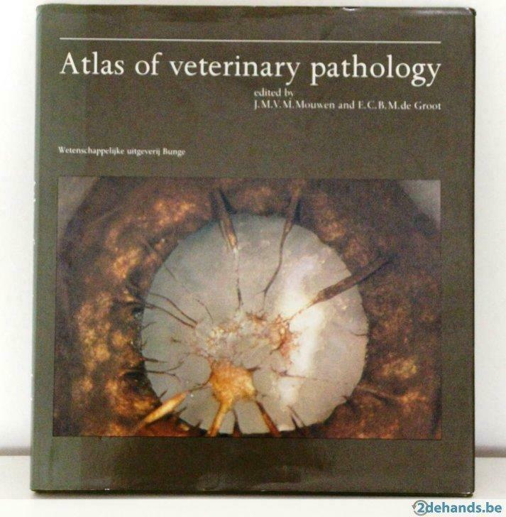 Atlas of veterinary pathology (Mouwen en de Groot), Boeken, Studieboeken en Cursussen, Gelezen, Ophalen of Verzenden