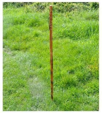 canne de randonnée bois fleur sculpté embrun, Sport en Fitness, Ophalen of Verzenden, Gebruikt