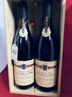 Côtes du Rhône 2001, le bois du papillon, Comme neuf, Pleine, France, Enlèvement ou Envoi