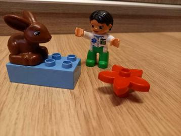 Duplo dierenarts beschikbaar voor biedingen