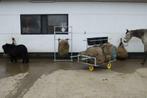 hooiweegschaal, Dieren en Toebehoren, 4 paarden of pony's of meer