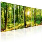 5 Delig schilderij op canvas Bos Natuur 240 x 90 cm, Verzenden