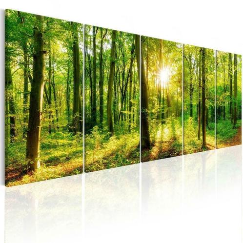 5 Delig schilderij op canvas Bos Natuur 240 x 90 cm, Antiek en Kunst, Kunst | Schilderijen | Modern, Verzenden