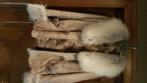 Luxe winterjas, Kleding | Dames, Jassen | Winter, ANDERE, Beige, Maat 42/44 (L), Ophalen of Verzenden