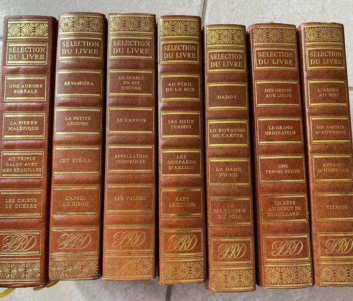 livre Sélection du Livre - 1,10€ l'un ou 06,00€ le lot de 7, Boeken, Romans, Gelezen, Ophalen of Verzenden