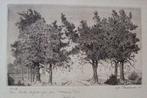 "Bomen" - Louis A. Peeters, Antiek en Kunst, Kunst | Etsen en Gravures, Ophalen of Verzenden