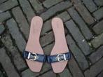 Gratis verzenden nieuwe blauwe lak zara teenslippers mt 41, Kleding | Dames, Schoenen, Slippers, Zara, Nieuw, Verzenden