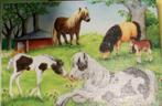 Ravensburger Puzzles 4+ paarden 2 stuks elk 24stukjes, Ophalen of Verzenden, 10 tot 50 stukjes, Zo goed als nieuw, 4 tot 6 jaar