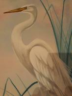 Pracht waterverf schilderij  vogel getekend met top duur lij