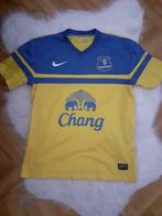 Maillot Nike Everton, Shirt, Zo goed als nieuw, Ophalen