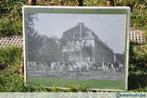 §  photo chateau de Baudour avec vaches dans sous verre, Enlèvement ou Envoi