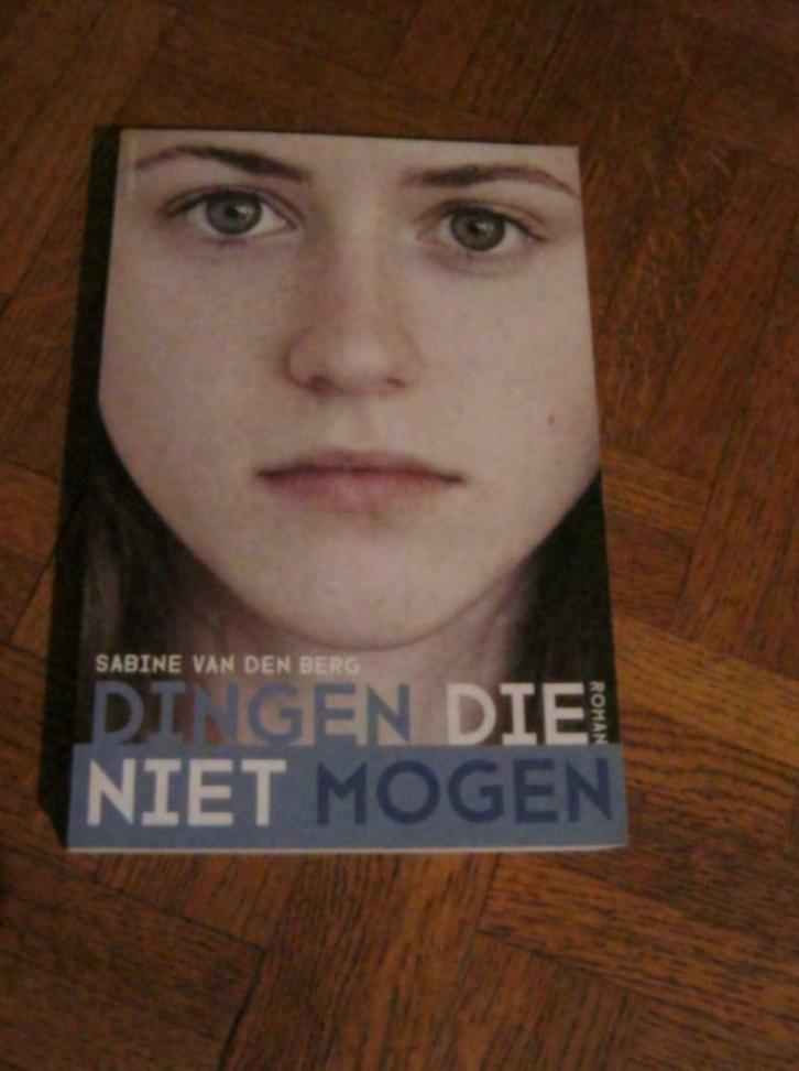Sabine van den Berg : Dingen die niet mogen, Boeken, Romans, Gelezen, Ophalen of Verzenden
