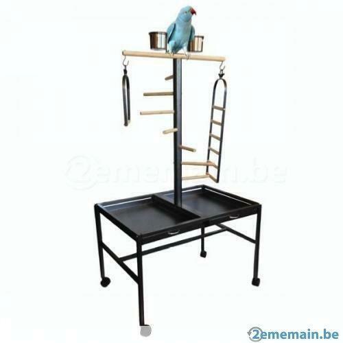 aire de jeu gris du gabon perchoir perroquet ara amazone, Dieren en Toebehoren, Vogels | Toebehoren, Nieuw, Verzenden