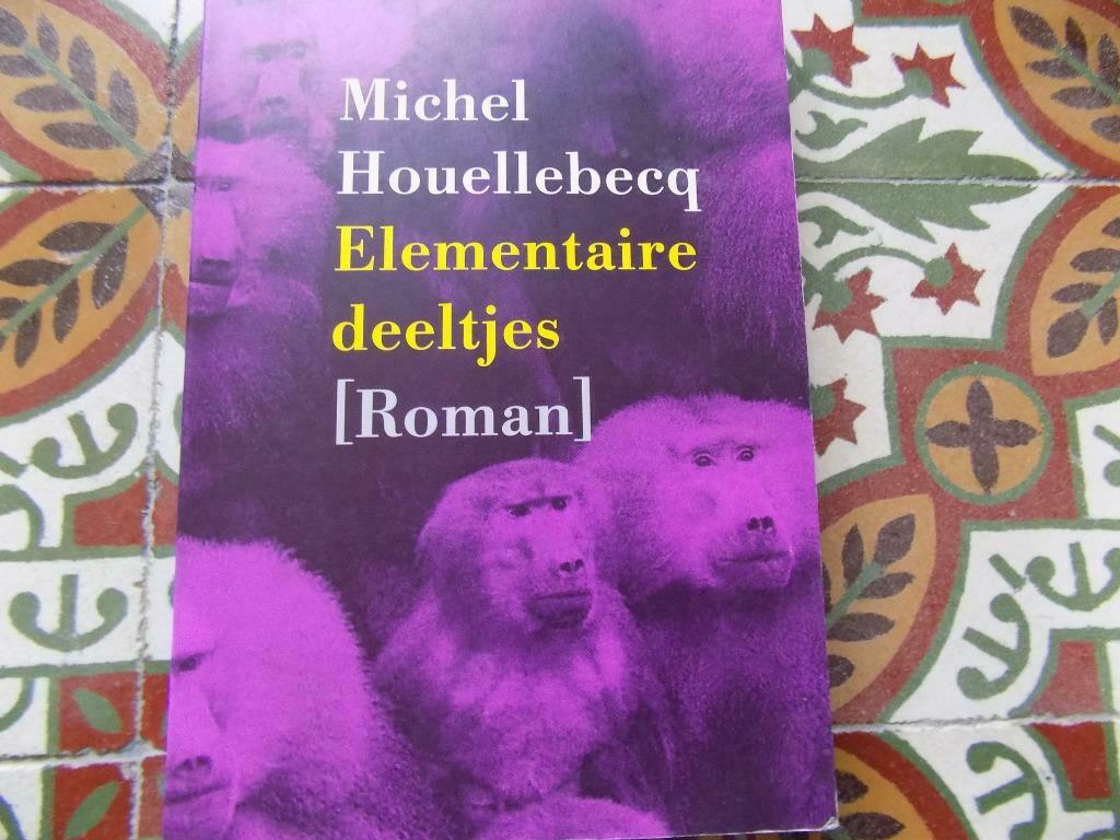 Elementaire deeltjes Michel Houellebecq, Boeken, Ophalen of Verzenden, Gelezen, Europa overig