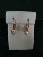 Nieuwe vergulde oorbellen van Twice as nice, Overige materialen, Nieuw, Ophalen of Verzenden, Goud