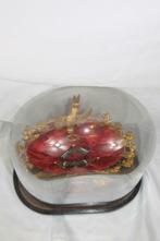 Globe Napoléon III décoré de papillons sur une armature, Antiquités & Art, Antiquités | Autres Antiquités, Enlèvement ou Envoi