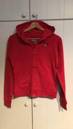 Trui - 170/176 - JBC - Perfecte staat - Warmrood - met kap., Ophalen of Verzenden, Zo goed als nieuw, Meisje, Trui of Vest