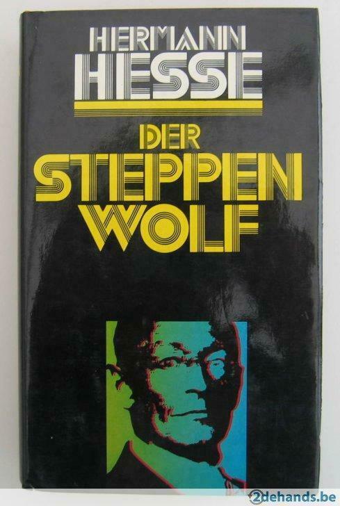 Der Steppenwolf door Hermann Hesse, Livres, Langue | Anglais, Utilisé