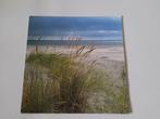 Grote postkaart - Belgische kust, 1960 tot 1980, Ongelopen, Ophalen of Verzenden, West-Vlaanderen