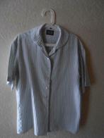 lichtgroen gestreept blouse, Vêtements | Femmes, Enlèvement ou Envoi, Taille 38/40 (M)