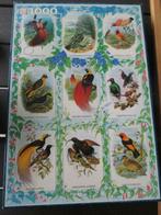 puzzel jumbo vogels, Ophalen of Verzenden, 500 t/m 1500 stukjes, Zo goed als nieuw, Legpuzzel