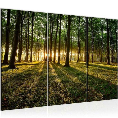 Canvas schilderij 3 luik Groen Bos natuur 130 x 80 cm, Huis en Inrichting, Woonaccessoires | Schilderijen, Tekeningen en Foto's