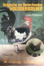 Belgische en Nederlandse hoenderrassen, Livres, Animaux & Animaux domestiques, Enlèvement ou Envoi, Utilisé, Volaille