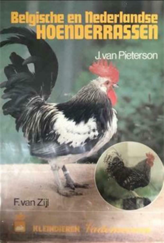 Belgische en Nederlandse hoenderrassen, Livres, Animaux & Animaux domestiques, Utilisé, Volaille, Enlèvement ou Envoi