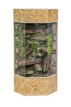 Terrarium panoramique vertical 80x60x150 cm terrarium OSB te, Verzenden, Nieuw