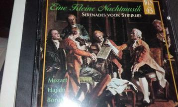 Fin de la petite musique de nuit. Serenade pour cordes, Enlèvement
