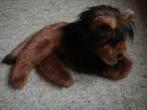 Lion en peluche, Enlèvement ou Envoi, Comme neuf, Autres types