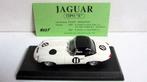 Jaguar "E" Type Spyder Tourist Trophy 1962 Model Best 1:43, Hobby en Vrije tijd, 1:32 tot 1:50, Overige merken, Ophalen of Verzenden