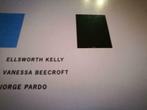 Ellsworth Kelly Beecroft Jorge Pardo 250pag, Boeken, Ophalen of Verzenden, Zo goed als nieuw, Schilder- en Tekenkunst