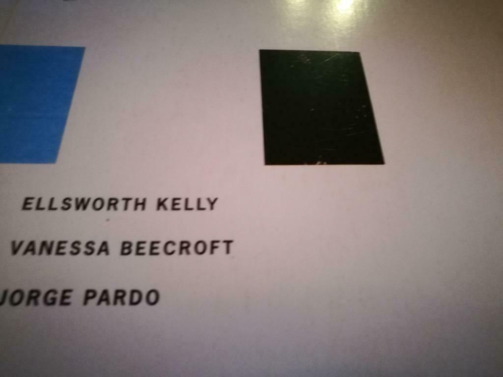 Ellsworth Kelly Beecroft Jorge Pardo 250pag, Ophalen of Verzenden, Zo goed als nieuw, Schilder- en Tekenkunst