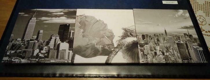 Vier afbeeldingen op canvasdoek (20 x 20 cm en 25 x 25 cm)., Huis en Inrichting, Woonaccessoires | Schilderijen, Tekeningen en Foto's